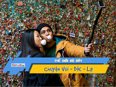 Video: Choáng với bức tường chứa cả tấn bã kẹo cao su