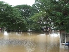 Hà Nội: Lũ sông Hồng cao nhất trong 10 năm qua