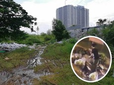 Camera ghi hình đổ rác lén, vì sao không phạt được?