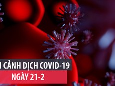 Toàn cảnh dịch COVID-19 ngày 21-2