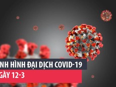 Tình hình đại dịch COVID-19 ngày 12-3