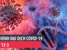 Tình hình đại dịch COVID-19 ngày 13-3