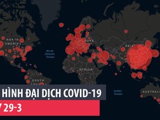 Tình hình đại dịch COVID-19 ngày 29-3
