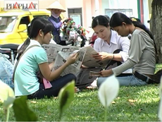 Năm năm cây bút xuất sắc báo Pháp Luật TP.HCM