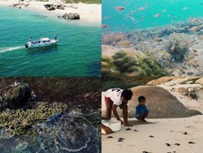 Lặng người trước vẻ đẹp hoang sơ của Hòn Cau