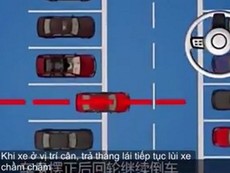 69 tình huống lùi xe vào bãi