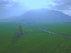 Việt Nam - Bản hòa tấu không trung