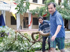 Nha Trang khắc phục hậu quả bão số 12
