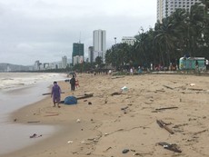 Biển Nha Trang hoang tàn sau bão Damrey