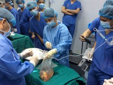 Clip đặc biệt về ca 'kỳ tích ghép tạng' xuyên Việt