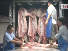 Clip trắng đêm canh thịt bẩn vào thành phố