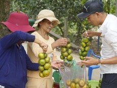 Độc đáo làng cây trái Nam bộ tại miền Trung