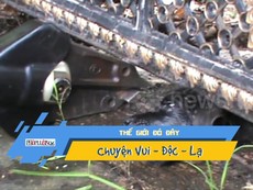 Giải cứu chó mắc kẹt đầu trong cổng suốt 2 ngày liền