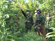 Biên phòng Hà Tĩnh căng mình ngăn ma túy tuồn qua biên giới