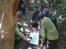 Tháo gỡ hàng ngàn bẫy thú ở rừng Sơn Trà