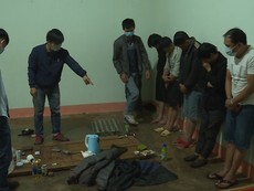 Bắt nhóm trộm chó chuyên nghiệp sử dụng bột cay để chống trả