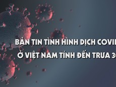 Bản tin tình hình dịch COVID-19 ở Việt Nam tính đến trưa 30-8
