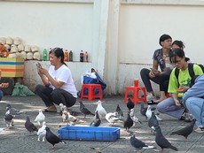 Nhiều người vẫn thờ ơ với việc đeo khẩu trang nơi công cộng