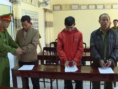 Video: Bắt 4 lãnh đạo, cán bộ công ty Lâm nghiệp rừng Ea Kar
