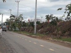 Video: Bãi rác cây xanh gây ô nhiễm giữa khu dân cư
