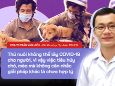 Vụ 14 chú chó, mèo ở Cà Mau: Giải mã khả năng vật nuôi lây bệnh cho người