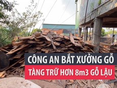 Phát hiện 1 xưởng gỗ tàng trữ hơn 8 m3 gỗ lậu
