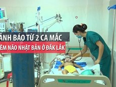 Cảnh báo từ 2 ca mắc viêm não Nhật Bản ở Đắk Lắk