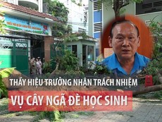 Họp báo vụ cây phượng bật gốc làm 1 học sinh tử vong