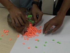 TP.HCM: Phá chuyên án, thu giữ hơn 9kg ma túy tổng hợp
