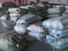 Bắt 103 tấn dược liệu đội lốt củ quả khô nhập vào Đà Nẵng