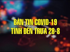 Bản tin tình hình COVID-19 ở Việt Nam tính đến trưa ngày 28-8