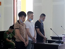 Nghệ An: Giấu ma túy dưới cột điện, ba thanh niên bị kết án tù