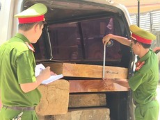 Sử dụng ô tô 'quá đát' vận chuyển gỗ lậu