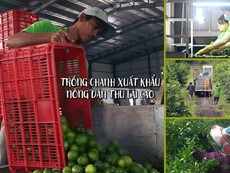 Bất ngờ với chia sẻ của tỷ phú trồng chanh đất Long An