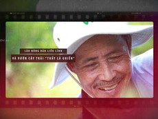 Lão nông dân liều lĩnh và vườn cây trái 'thấy là ghiền'