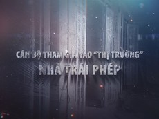 Video: Nhộn nhịp 'thị trường' nhà trái phép ở huyện Nhà Bè