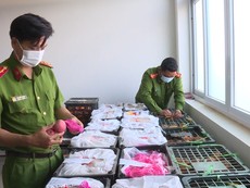 Video: Phát hiện 2,5 tấn hoa quả không rõ nguồn gốc xuất xứ