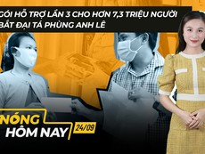 Nóng hôm nay: Bắt Đại tá Phùng Anh Lê; TP.HCM thông qua gói hỗ trợ lần 3