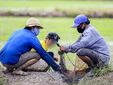 Video: Theo chân xóm trọ nghèo ở TP.HCM ra đồng bắt cá, trang trải mùa dịch 