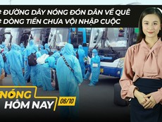 Nóng hôm nay: Đường dây nóng đón dân về quê; Xét nghiệm kháng thể SARS-CoV-2