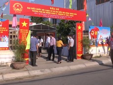 Video: Diễn tập bầu cử trong tình huống giãn cách vì COVID-19