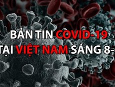 Video: Bản tin dịch COVID-19 tại Việt Nam sáng 8-6