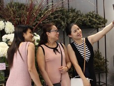 Hoa khổng lồ giá 1 triệu đồng/cành ở TP.HCM