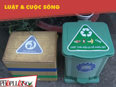 Phân loại rác tại nguồn được thực hiện ra sao?