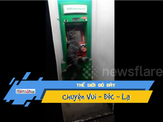 Video: Phát hiện kỳ đà khổng lồ 'đi rút tiền' ở máy ATM