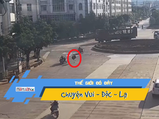 Đường phố náo loạn vì đà điểu xổng chuồng