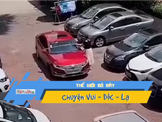 Hài hước người phụ nữ trước khi đỗ xe phải đo kích thước