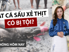 Nóng hôm nay 29-4: Đằng sau việc bắt cá sấu xẻ thịt