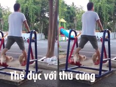 Clip tập thể dục với thú cưng
