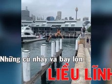 Clip hiểm họa rình rập những trò bay nhảy liều lĩnh